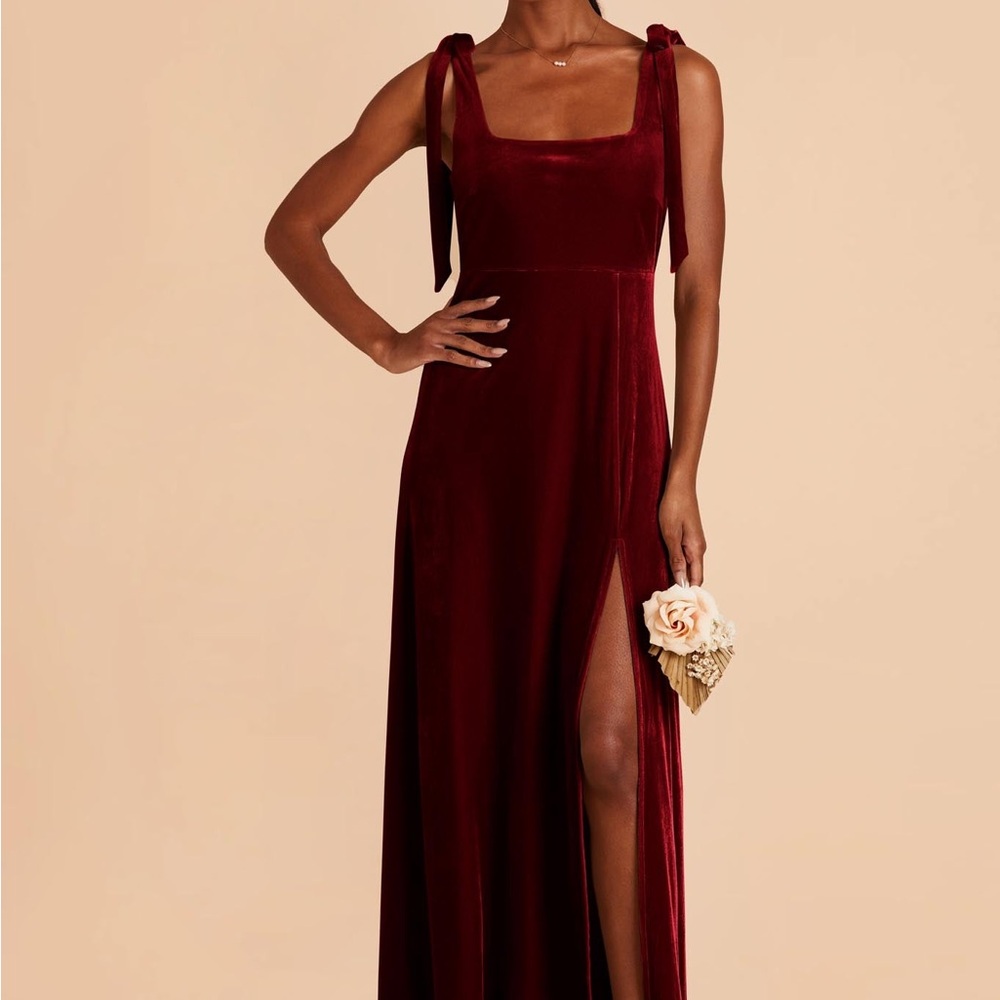 Birdy Grey Alex Velvet Cabernet Evening Gown